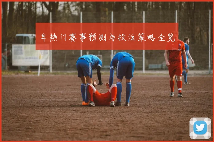 年热门赛事预测与投注策略全览