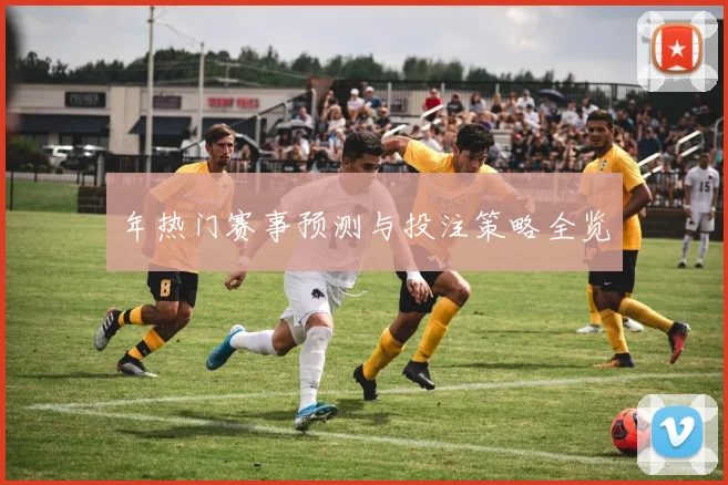 年热门赛事预测与投注策略全览